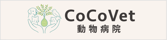 京都市南区吉祥院宮ノ西町の動物病院、犬・猫、エキゾチックアニマル（鳥やウサギ）など幅広い種類の動物を診療します。総合的な健康をサポートし動物と飼い主様が安心して来院される取り組みを行っております。
